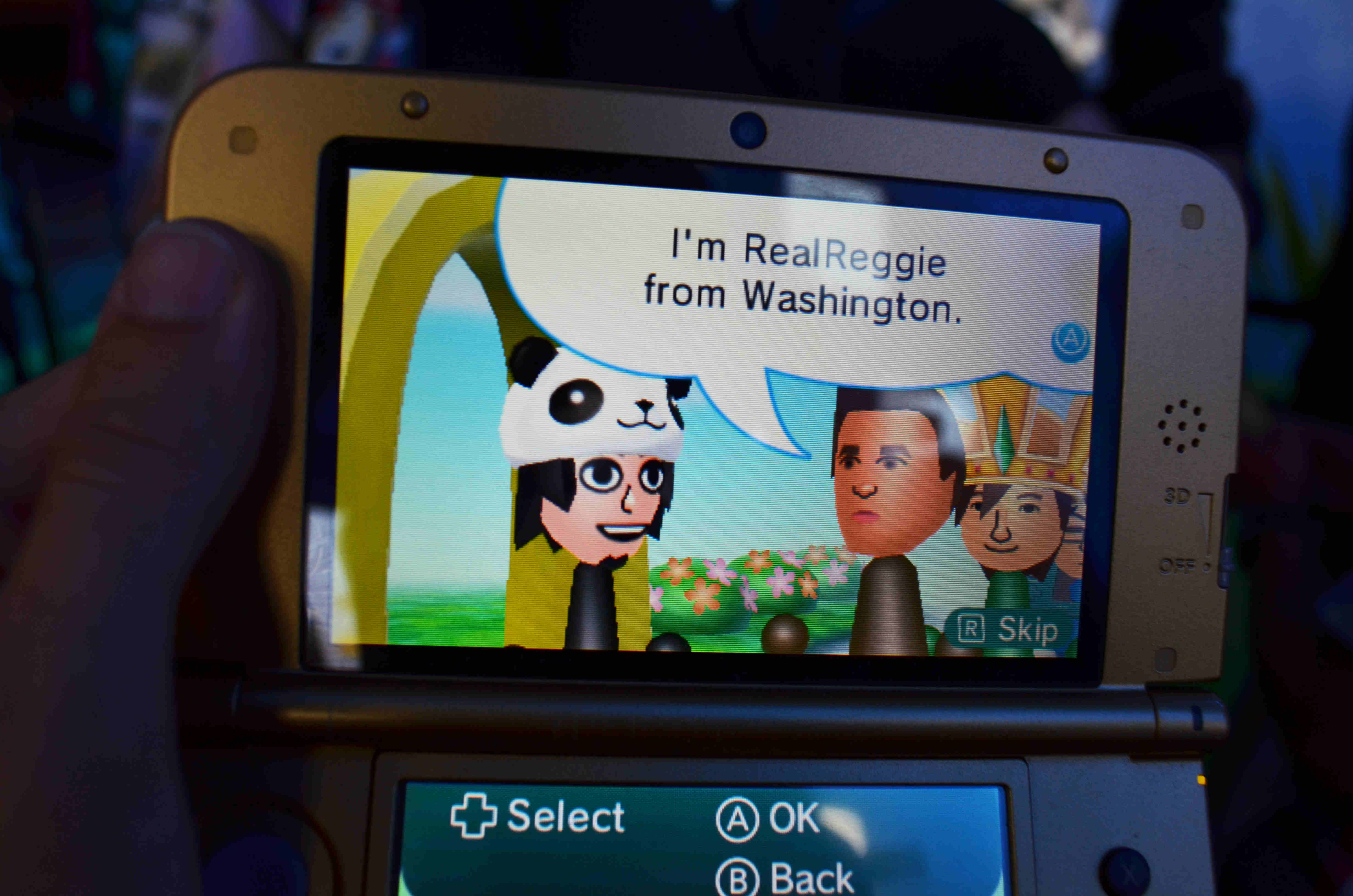 Animal Crossing 2DS XL