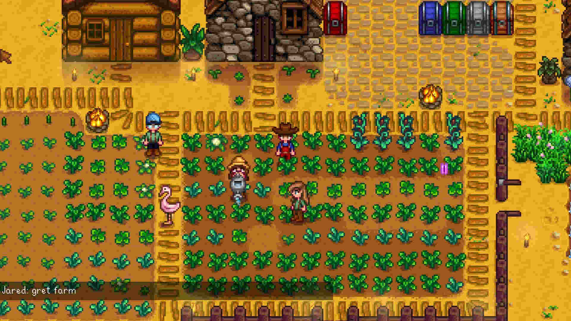 Stardew Valley Multiplayer Update