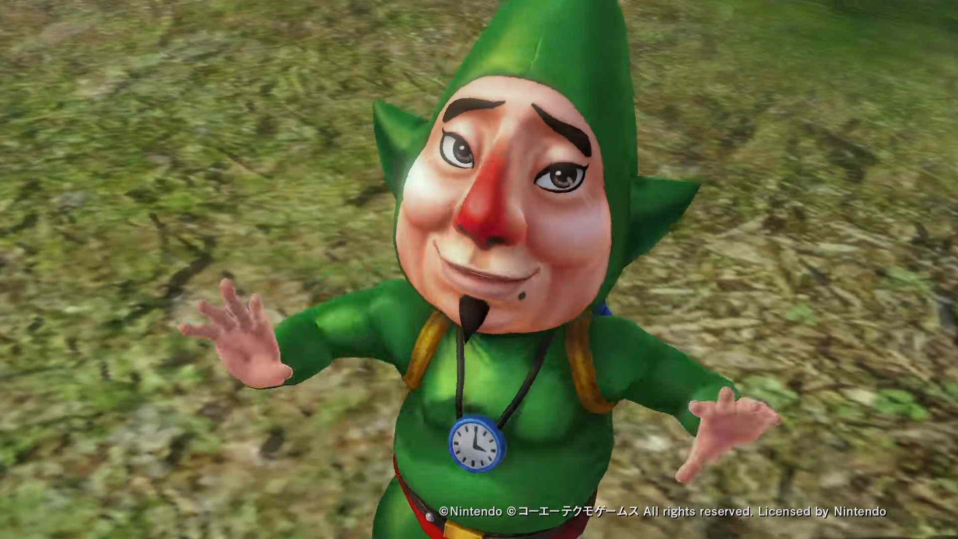 Tingle's Face